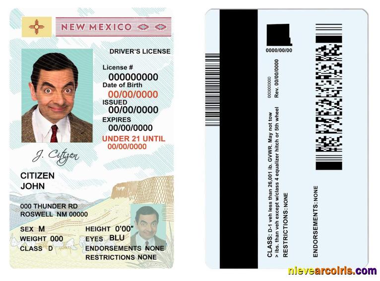 Premium USA State New Mexico Driving License Template In PSD Format, Under 21