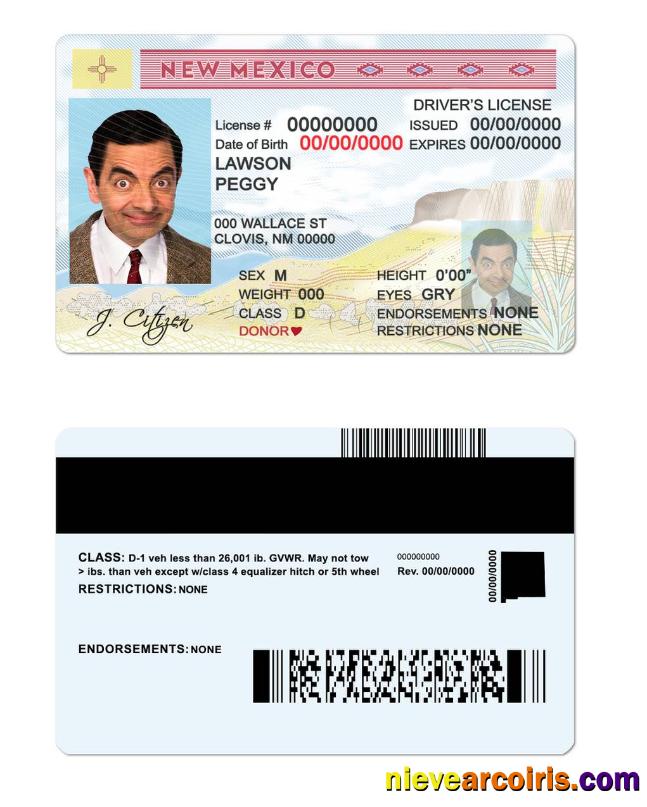 USA State New Mexico Driving License Template