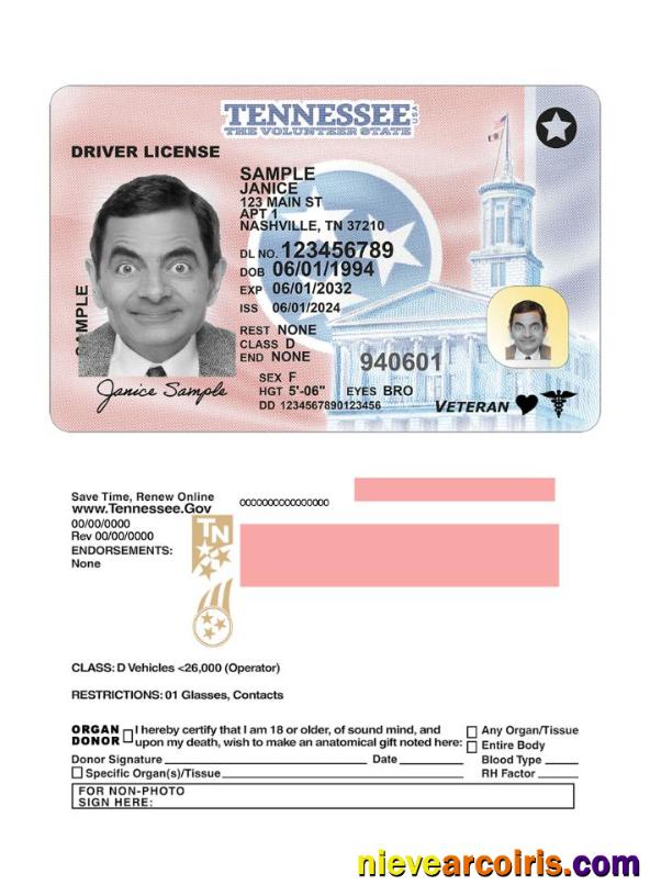 USA Tennessee Driving License 2024 Present Photolook