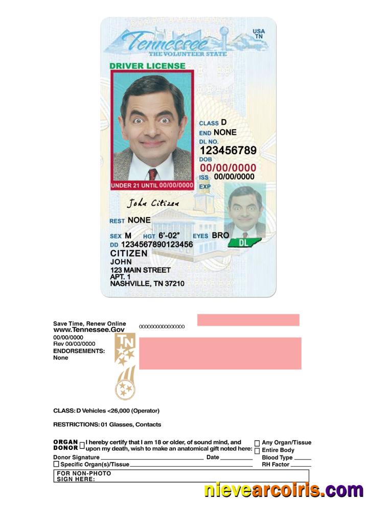 USA Tennessee Driving License Under 21 Photolook