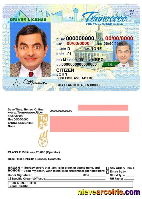 USA Tennessee Driving License Photolook