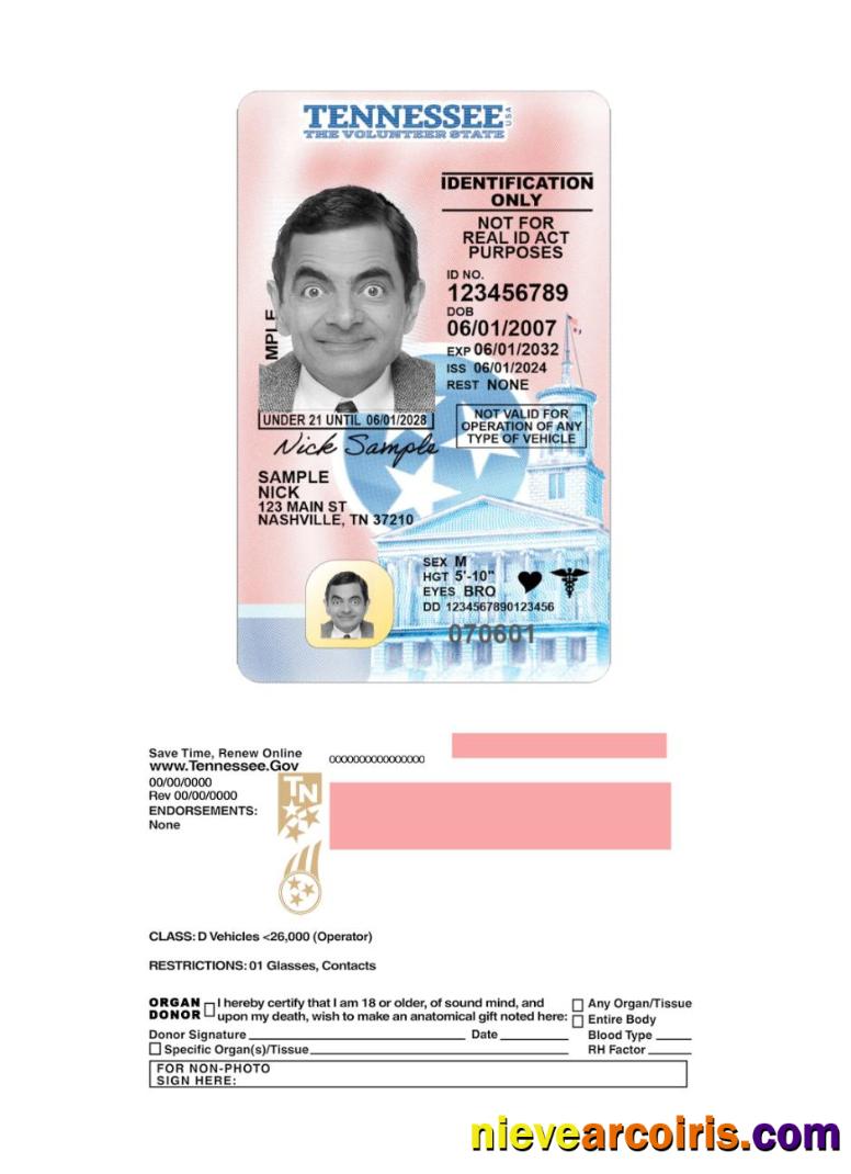 USA Tennessee Under 21 Driving License 2024 Present Sample