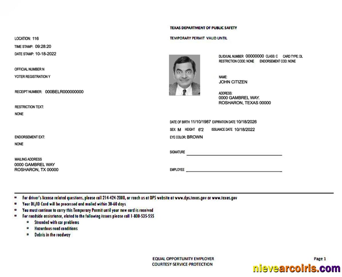 USA Texas Temporary Permit Preview