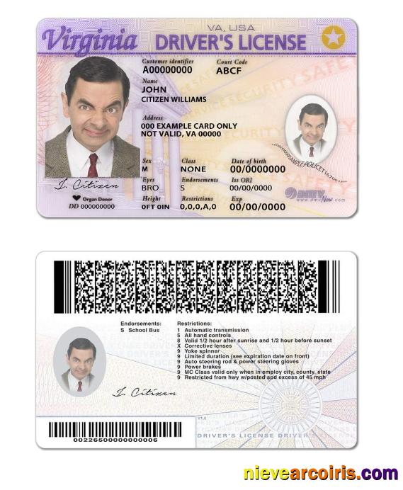 USA Virginia Driving License Photolook