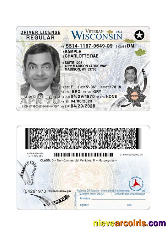 USA Wisconsin Driving License 2023 Present Preview
