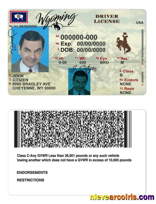 USA Wyoming State Driving License Preview