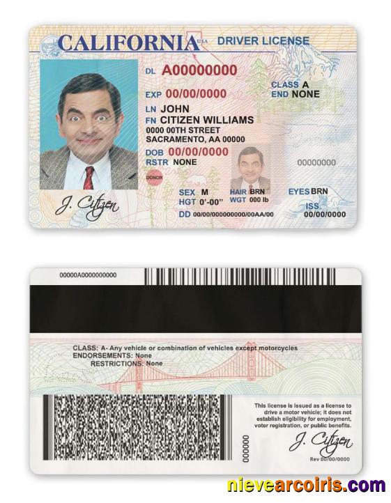 USA State California Driver License Sample