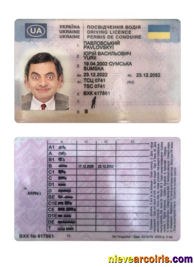 Ukraine Driving License 2022 Present Preview