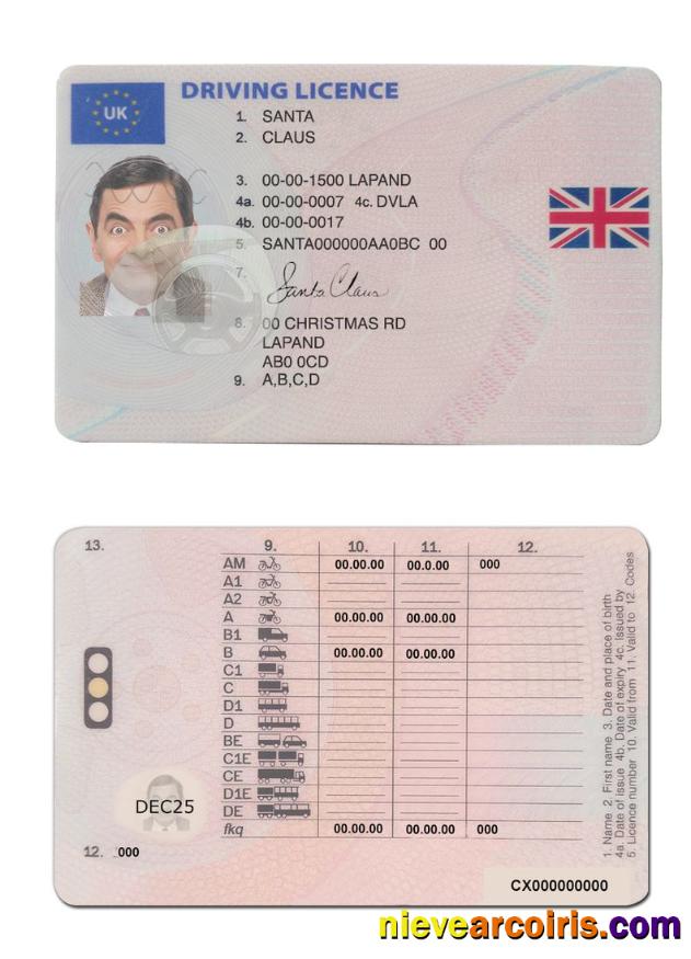 United Kingdom Driving License (between January 2021 And December 2021) Preview