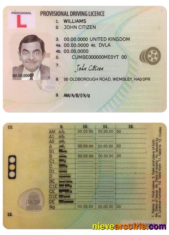 United Kingdom Provisional Driving License Preview