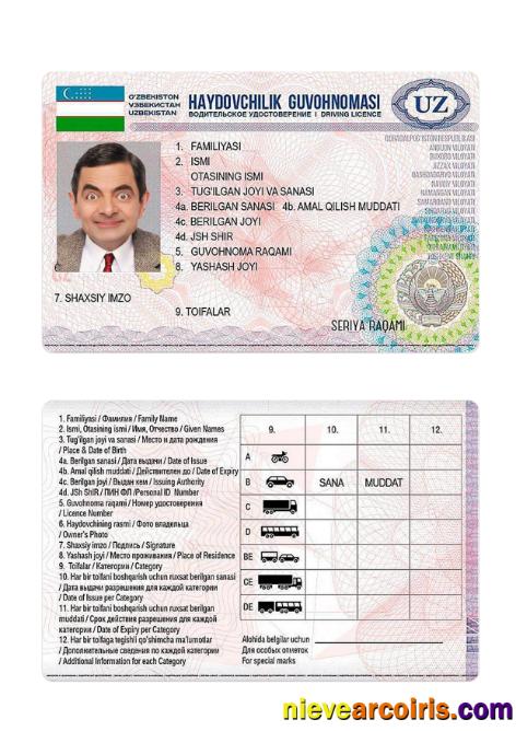 Uzbekistan Driving License 2017 Present Template