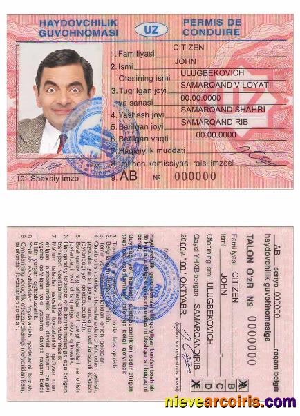 Uzbekistan Driving License Sample