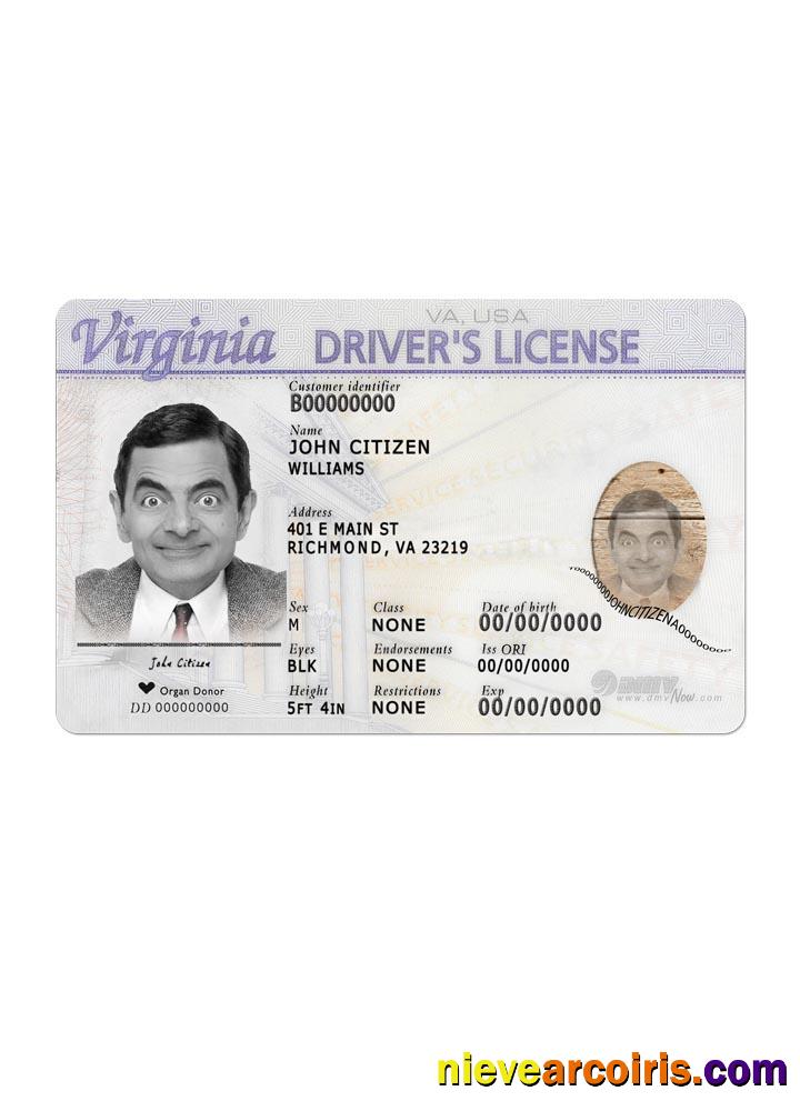 Virginia Driving Front Photolook
