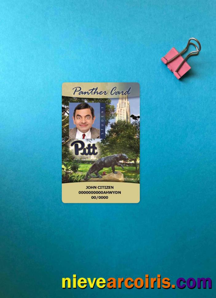 USA The University Of Pittsburgh Student ID Card, Panther Card Photolook FRONT Photolook