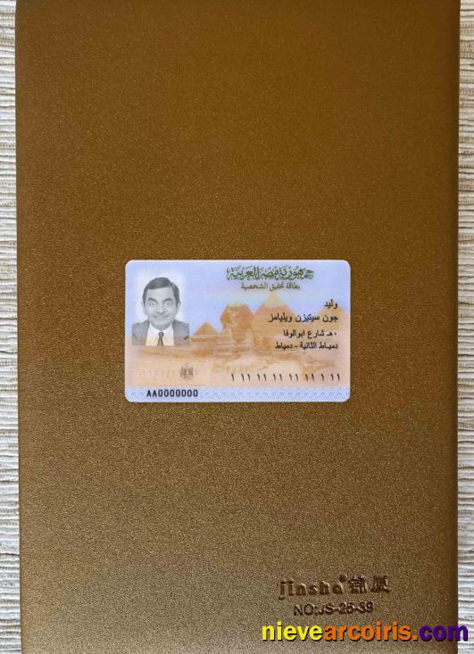 Egypt ID Photolook FRONT Template