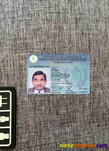 Guatemala Consular ID Card Photolook FRONT Preview