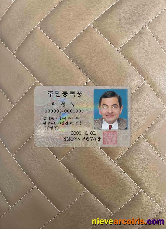 Korea ID Photolook FRONT Preview