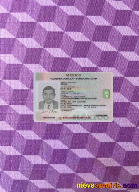 Mexico Consular ID Card Photolook FRONT Sample