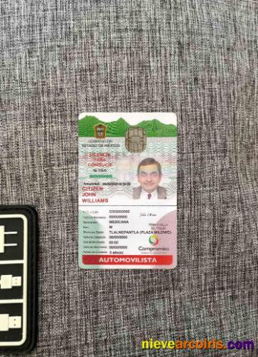 Mexico ID Version 2 Photolook Preview