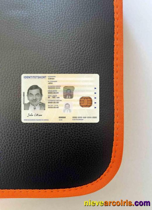 Professional Sweden Identity Card PSD Template, 2017 – Present Photolook FRONT
