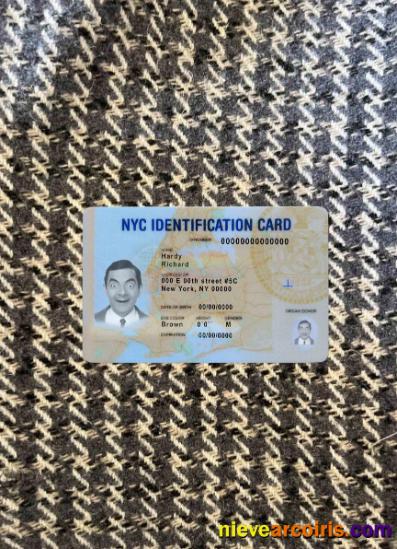USA New York ID Photolook FRONT Sample