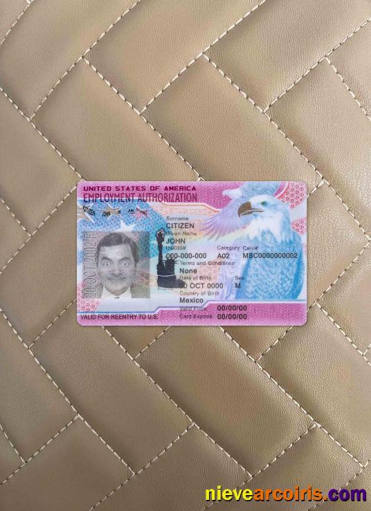 USA Employment Authorization Photolook FRONT Sample