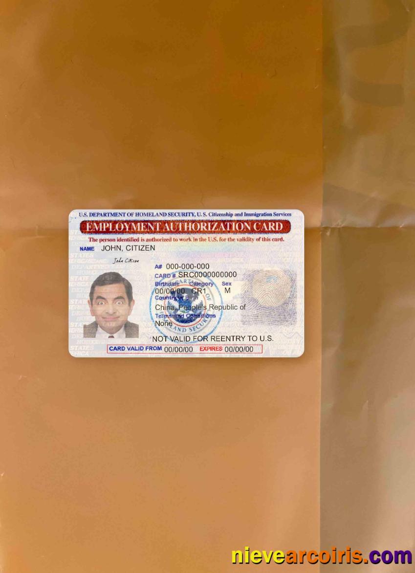 United States Employment Authorization Card Photolook FRONT Sample