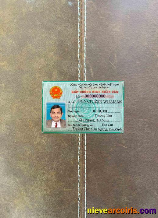 Vietnam ID Photolook FRONT Sample