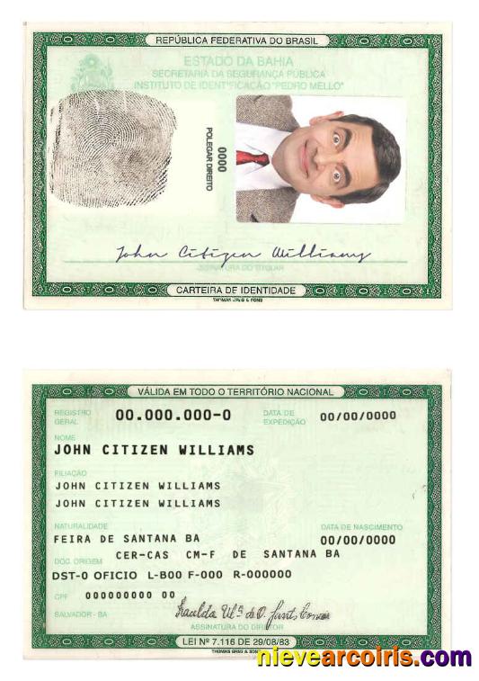 Professional Brazil ID Template In PSD Format (2008 2010) (3)
