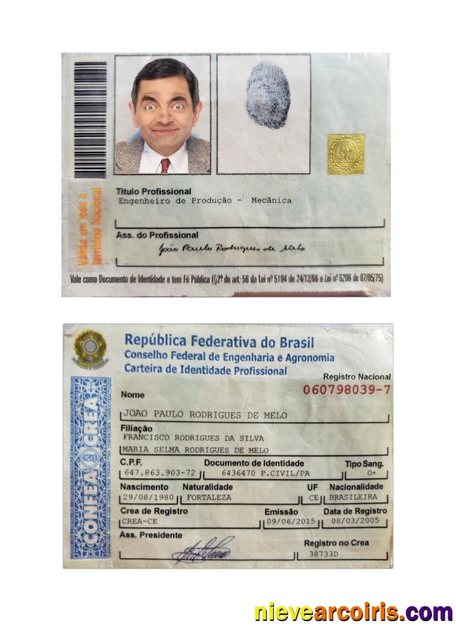 Brazil Professional Identity Card Preview