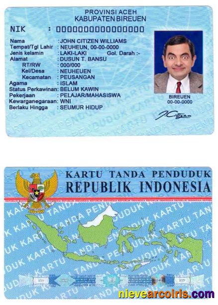 Editable Indonesia ID Template In PSD Format (2016 – Present)