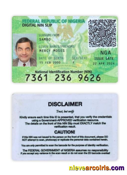 Nigeria Digital NIN Slip Card Preview