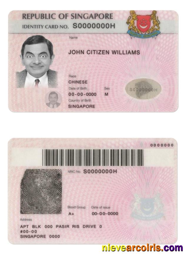 Singapore Identity Card Photolook
