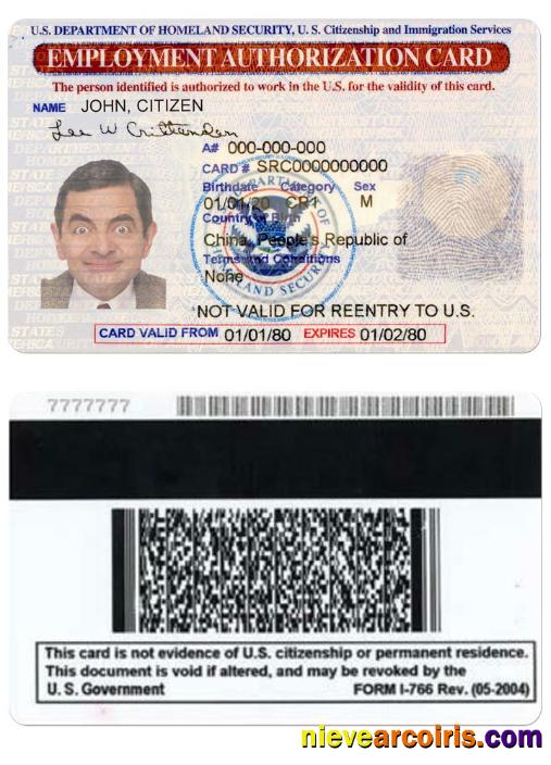 UNITED STATES Employment Authorization Card Template