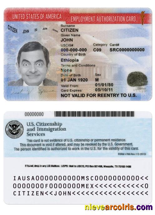 USA Employment Authorization Card Version 2 Photolook
