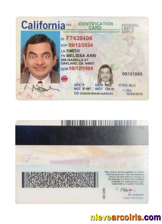 USA California ID Card Preview