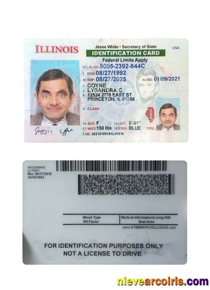 USA Illinois ID Card Sample