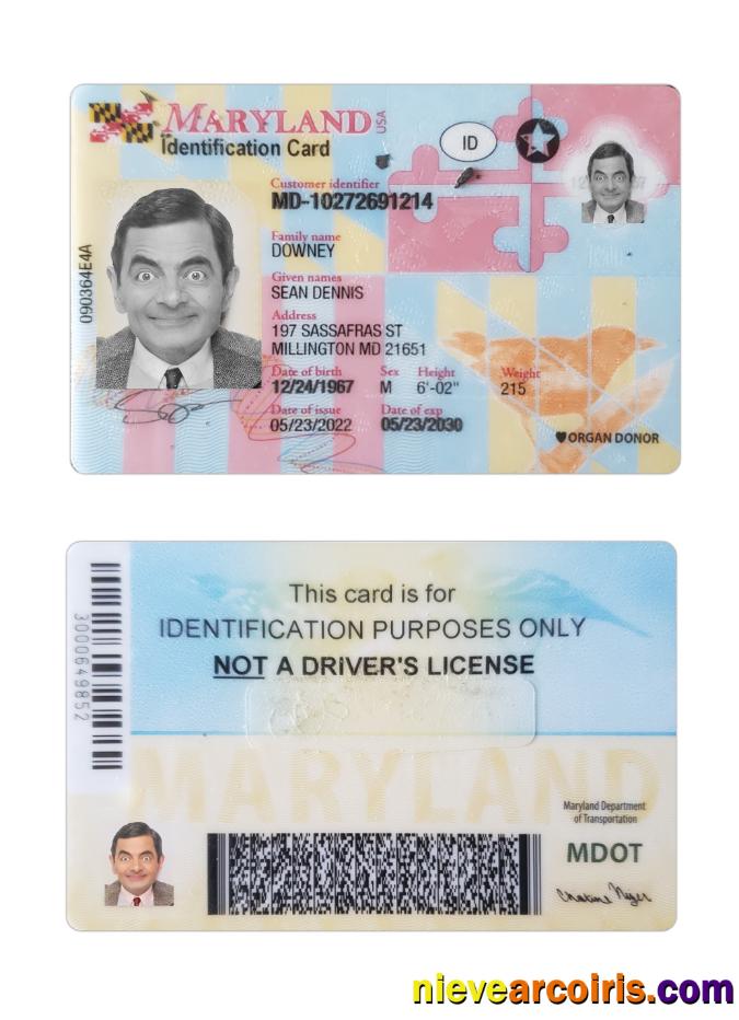 USA Maryland ID Card Photolook