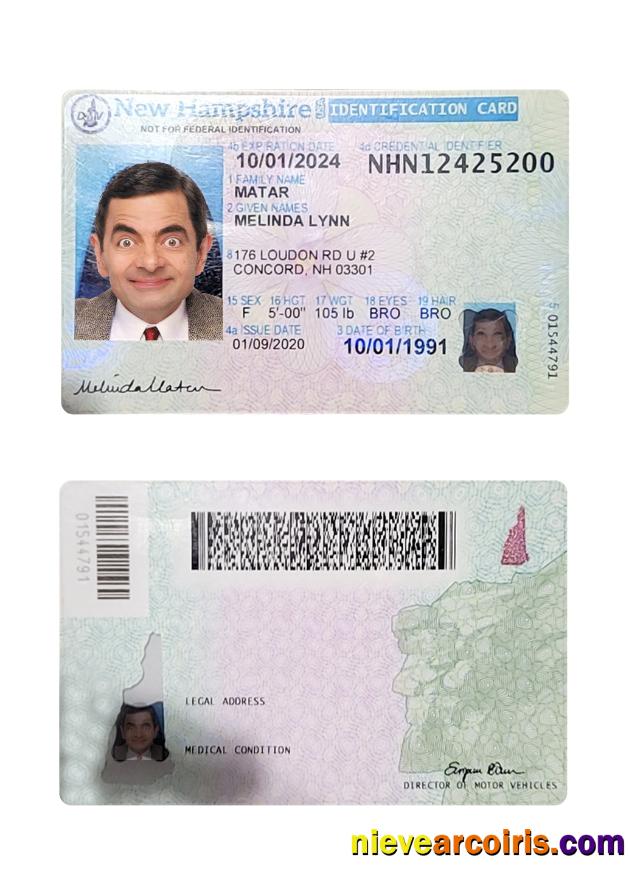 USA New Hampshire ID Card Photolook
