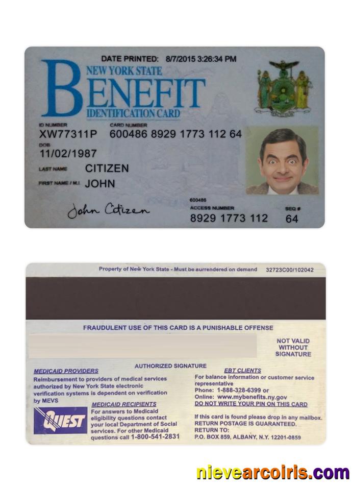 USA New York Benefit ID Card Preview