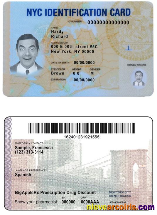 USA New York ID Photolook