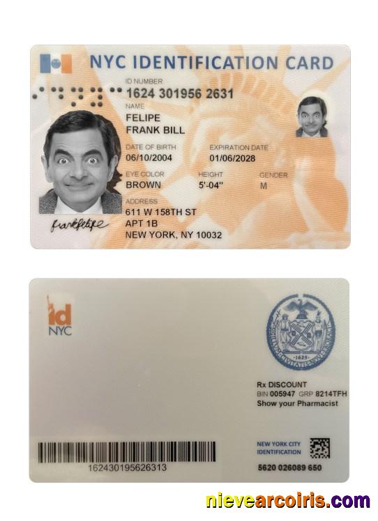 USA New York Identification Card Preview