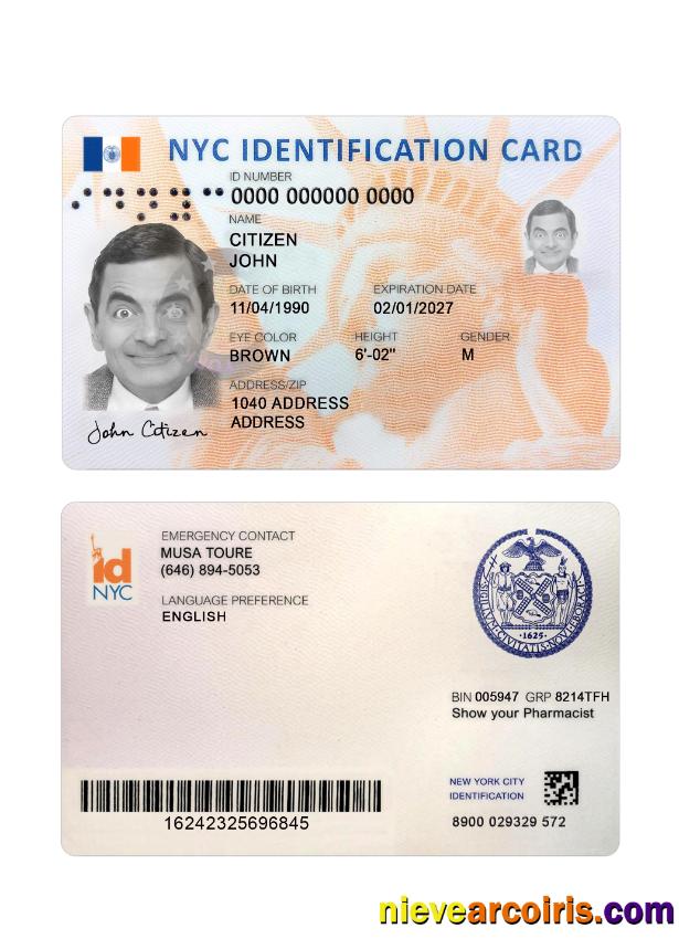 USA New York New ID Card Preview