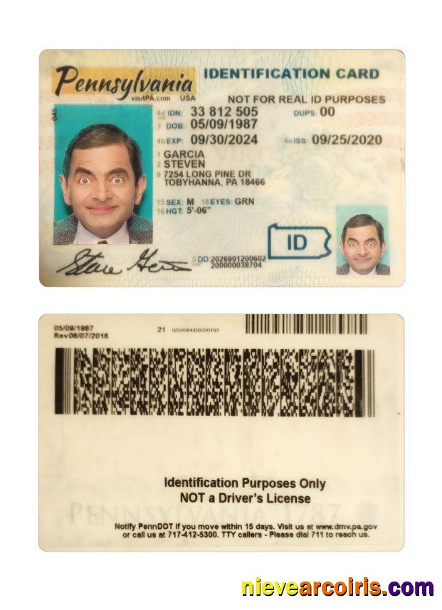 USA Pennsylvania ID Card Photolook