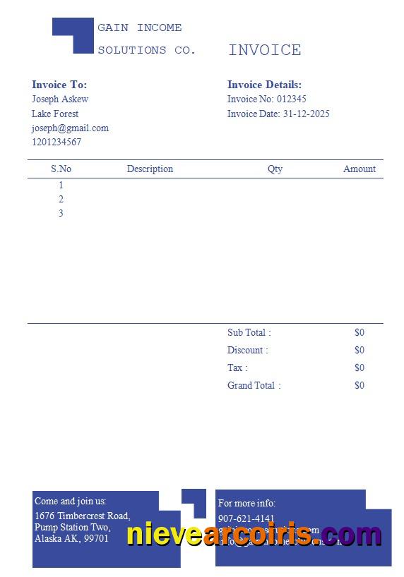 Professional Accountancy Firm Invoice Template