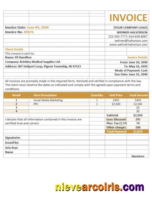 Professional Basic Agency Invoice Template