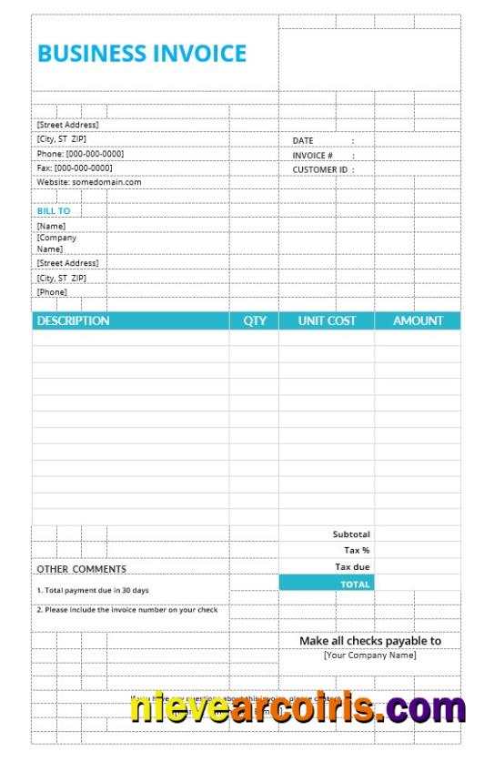 Professional Basic Business Invoice Template
