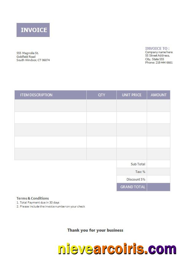 Professional Basic Invoice Template