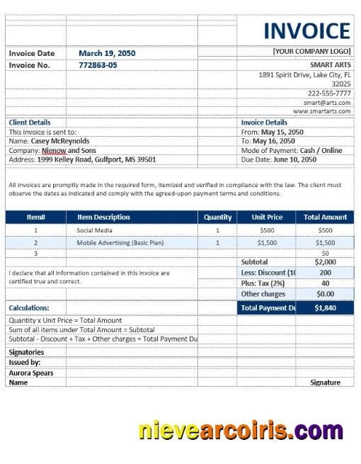 Professional Blank Agency Invoice Template