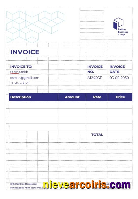 Professional Business Advisor Invoice Template